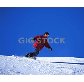 Winter Sports 101